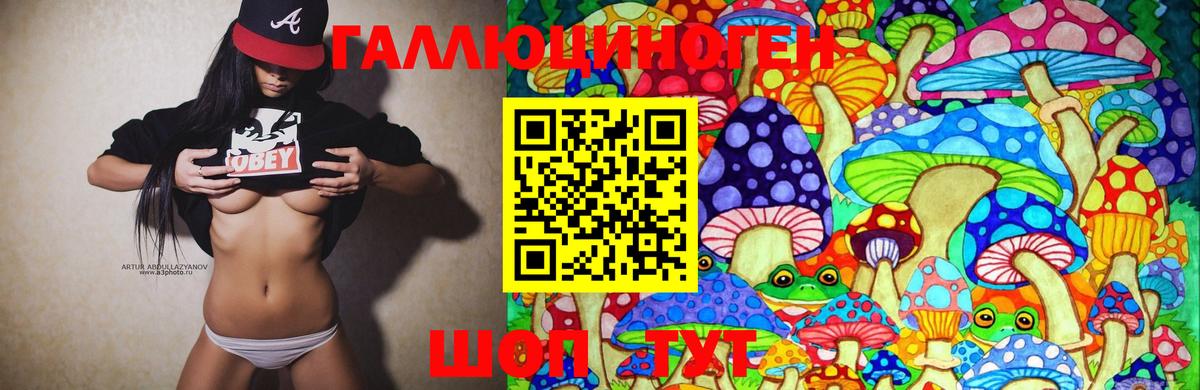 Псилоцибиновые грибы GOLDEN TEACHER  Вход с VPN  Южно-Сахалинск 